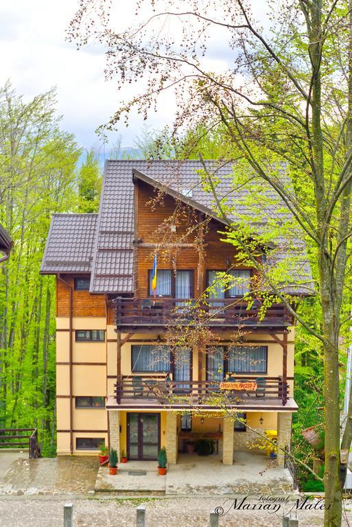 Pension Master Sinaia Esterno foto