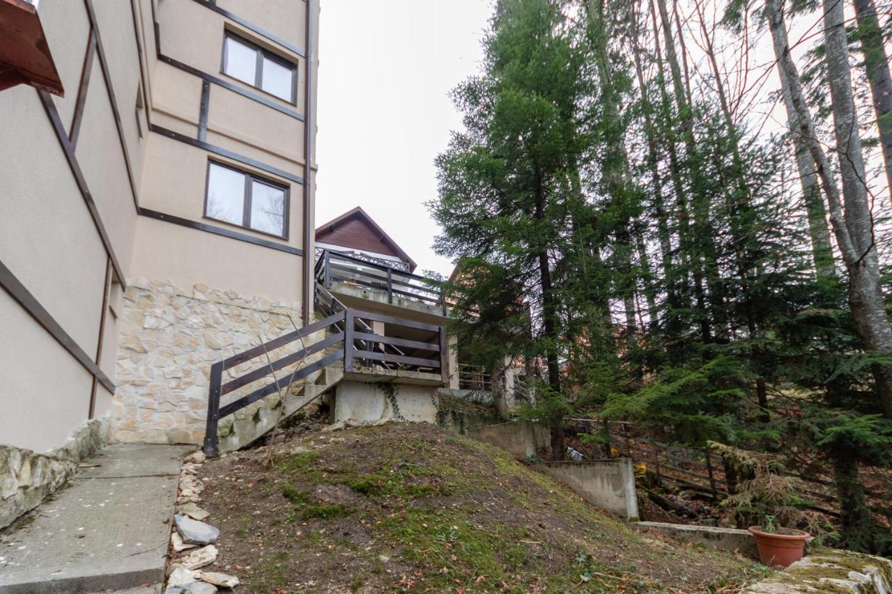 Pension Master Sinaia Esterno foto