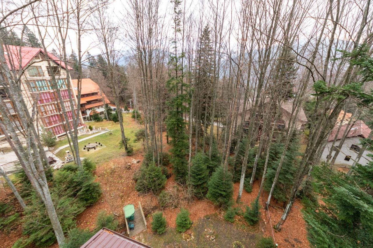 Pension Master Sinaia Esterno foto